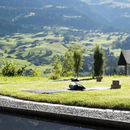 Lenk Lodge - Boutique Design Hotel & Apartments レンク