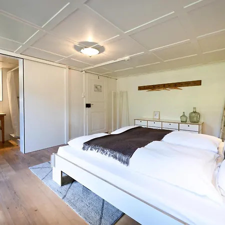 Lenk Lodge - Boutique Design Hotel & Apartments 3* レンク