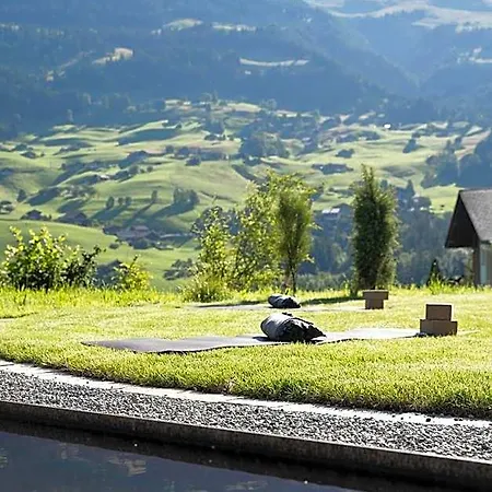 Lenk Lodge - Boutique Design Hotel & Apartments ホテル レンク